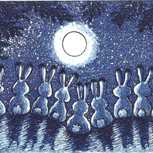 Pupukuun sukukukokous